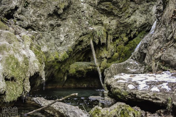 273050379_5239778969444722_356464781714084568_n