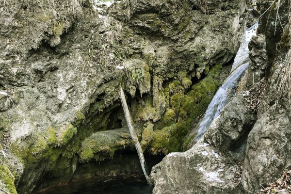 273112925_5239778976111388_134700977198139668211_n