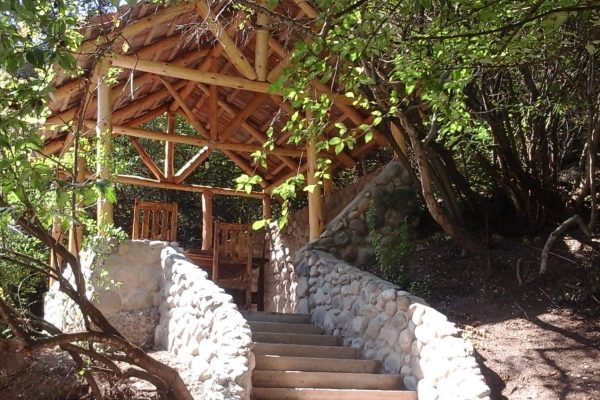 274740071_102200112453445_4886191845639767603_n