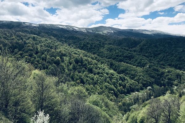 800px-Դիլիջան_ազգային_պարկ_-_Dilijan_National_Park_(14.05.2020)_02
