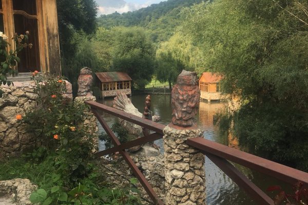 awesome-food-in-the-forest