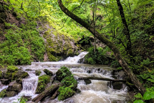 hidden-waterfall-trail-1