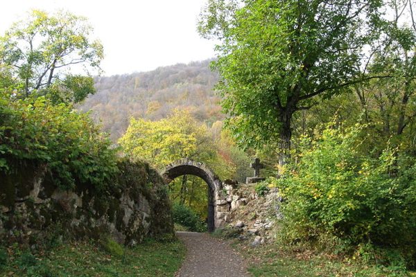 Տավուշի_անտառները